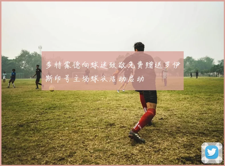 多特蒙德向球迷致敬免费赠送罗伊斯印号主场球衣活动启动