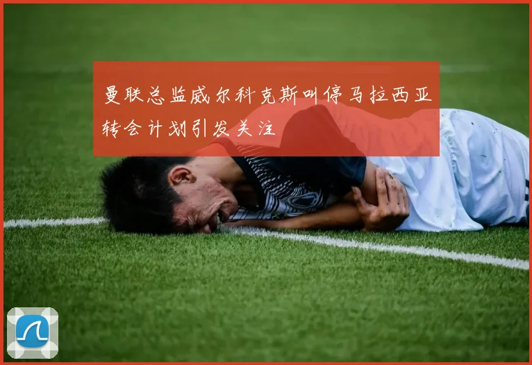 曼联总监威尔科克斯叫停马拉西亚转会计划引发关注