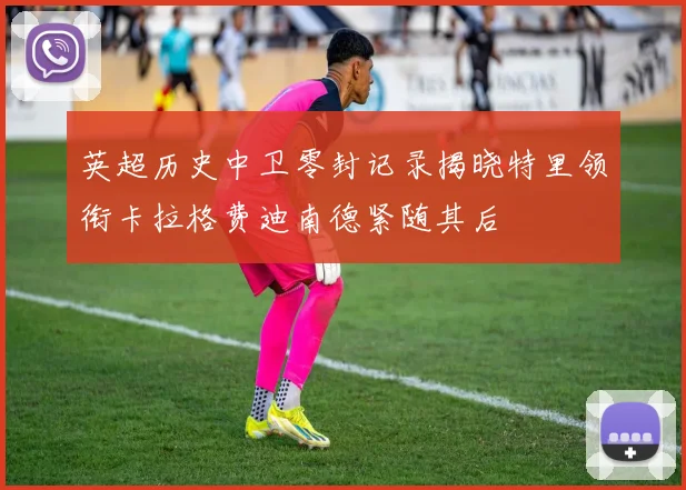 英超历史中卫零封记录揭晓特里领衔卡拉格费迪南德紧随其后